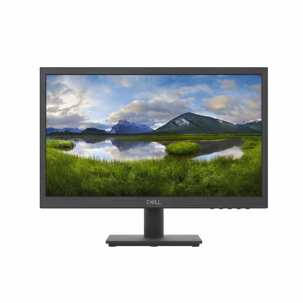 Dell 19 Monitor